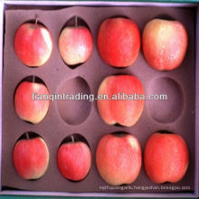 chinese red fuji apple